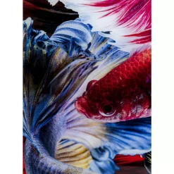 Bilder-KARE Design Glasbild Colorful Swarm Fish 120X120Cm