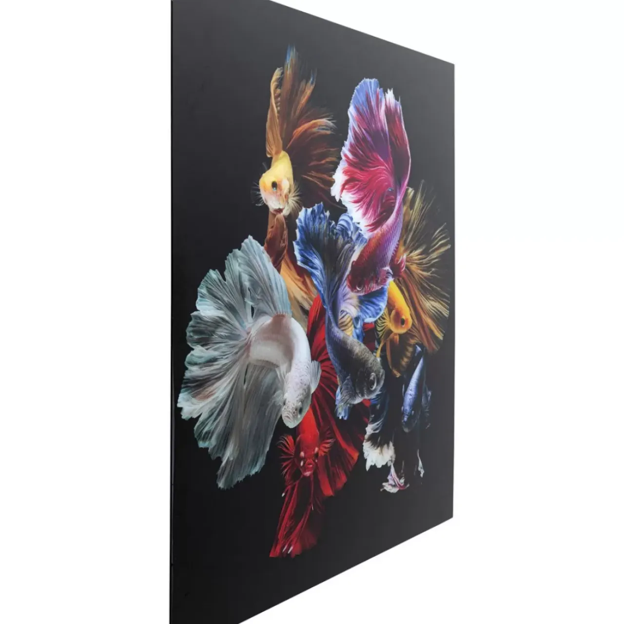 Bilder-KARE Design Glasbild Colorful Swarm Fish 120X120Cm