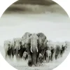 Bilder-KARE Design Glasbild Elephant Walk O120Cm