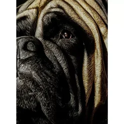 Bilder-KARE Design Glasbild King Pug 40X60Cm