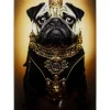 Bilder-KARE Design Glasbild Prince Pug 40X60Cm