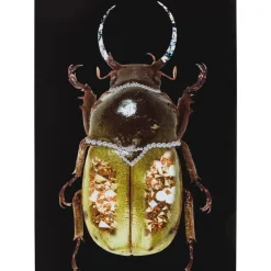 Bilder-KARE Design Glasbild Shiney Dung Beetle 80X120Cm