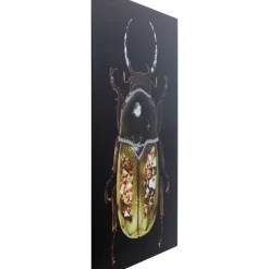 Bilder-KARE Design Glasbild Shiney Dung Beetle 80X120Cm