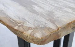 Tische-KARE Design Konsole Alfredo Versteinertes Holz