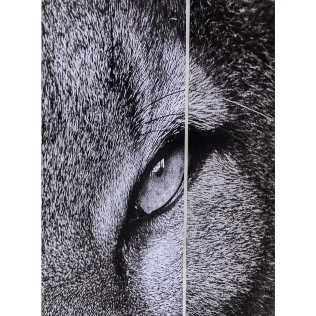 Paravents-KARE Design Paravent King Lion Vs Cat Girl 120X180Cm