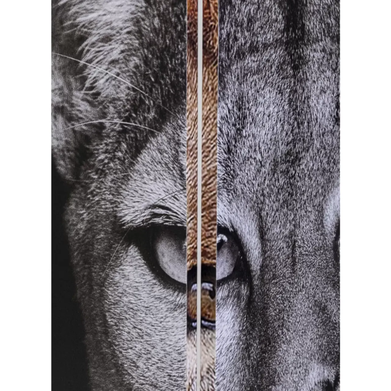 Paravents-KARE Design Paravent King Lion Vs Cat Girl 120X180Cm