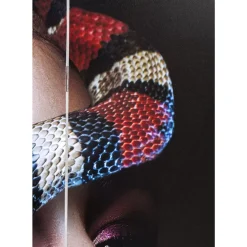 Paravents-KARE Design Paravent Royal Headdress Vs Snake Girl 120X180Cm