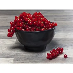 Geschirr & Tischaccessoires-KARE Design Schale Organic Black O15Cm
