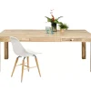 Tische-KARE Design Tisch Puro Plain 200X100Cm