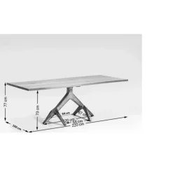 Tische-KARE Design Tisch Roots Dark 220X100Cm