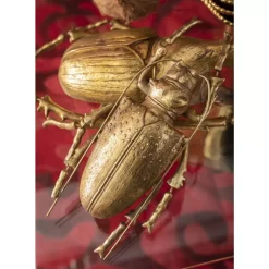 Bilder-KARE Design Wandschmuck Longicorn Beetle Gold