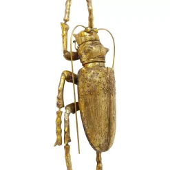 Bilder-KARE Design Wandschmuck Longicorn Beetle Gold