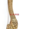 Bilder-KARE Design Wandschmuck Ostrich Gold